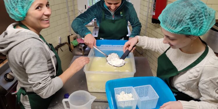 A Day in the Life of a Tuscan Cheesemaker