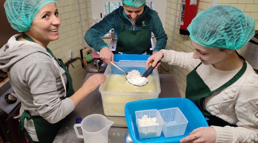 A Day in the Life of a Tuscan Cheesemaker